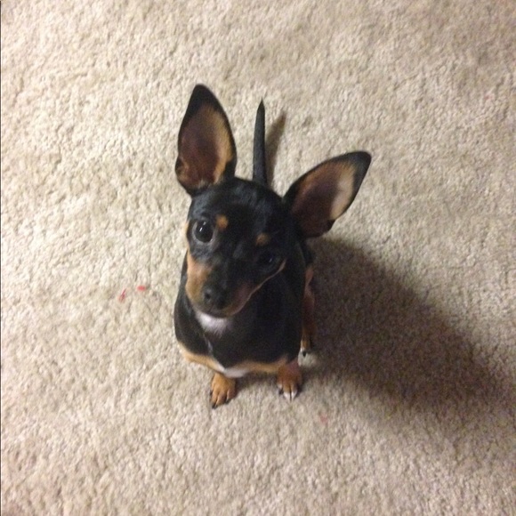 Meet your Posher, Brian - Picture 1 of 1